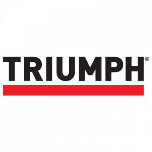 MBM Triumph 1134 Guillotine Paper Trimmer - Professional Dictation