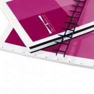 11-PIN 2" SecureBind™ Velo Strips in Multiple Colors 11-PIN 2" SecureBind™ Velo Strips in Multiple Colors